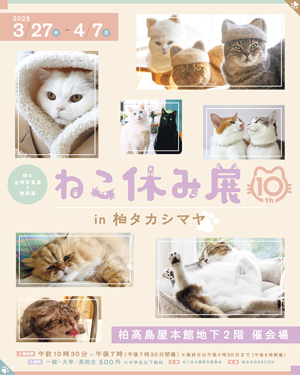 「ねこ休み展 in 柏タカシマヤ」委託出店
