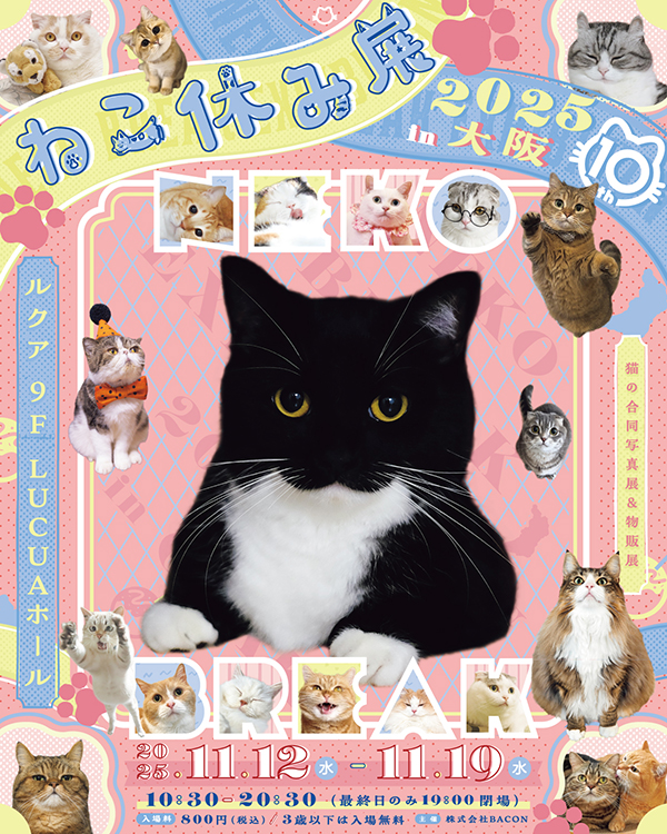 「ねこ休み展 2025 in 大阪」委託出店